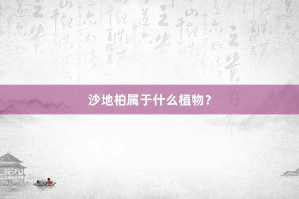 沙地柏属于什么植物？