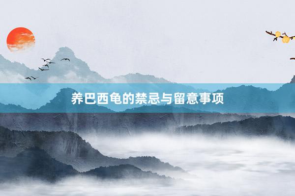 养巴西龟的禁忌与留意事项