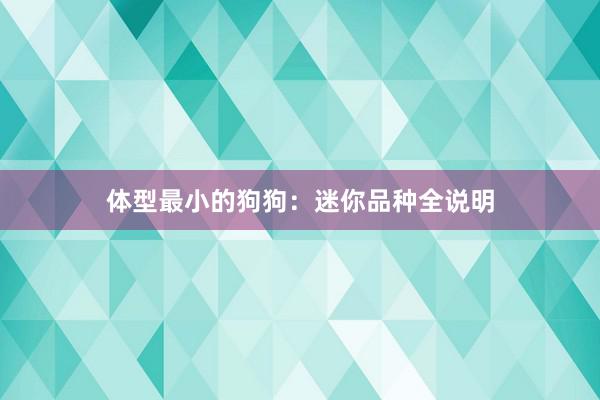 体型最小的狗狗：迷你品种全说明