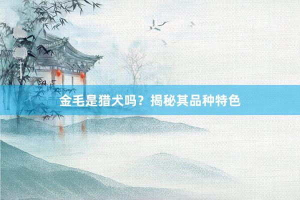 金毛是猎犬吗?揭秘其品种特色